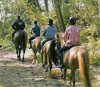 Horseriding