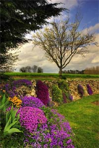 spring